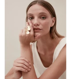 ANILLO CÍRCULOS