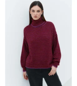 JERSEY RAYAS CUELLO ALTO