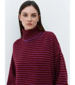 JERSEY RAYAS CUELLO ALTO