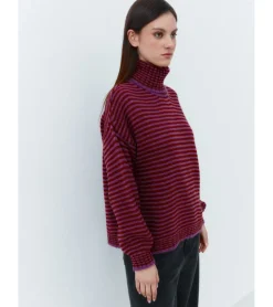 JERSEY RAYAS CUELLO ALTO